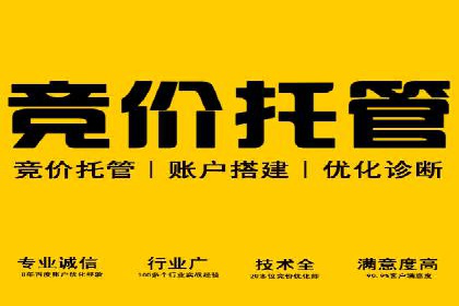 解析网络推广竞价的转化率：以一则广告为例